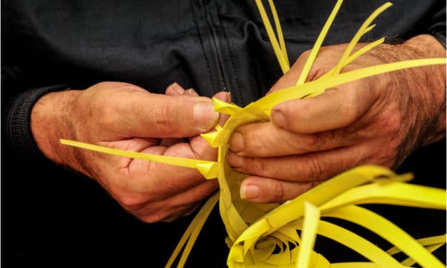 Da lunedì 5 marzo un corso per parmuleri: l’arte di intrecciare le palme