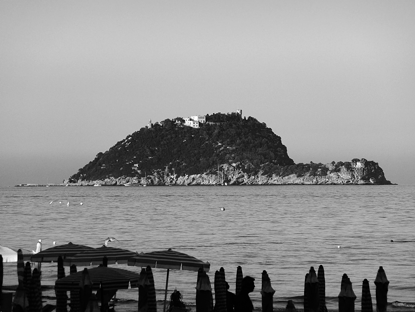 Isola Gallinara, una testuggine sorta dal mare. Inconfondibile per la sua silhouette che ricorda il carapace di una tartaruga, l’isola Gallinara (anticamente Gallinaria), prospiciente la città di Albenga e visibile per buona parte della costa della Riviera…