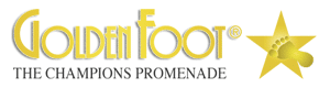 Un’altra leggenda al Golden Foot 2012 di Monaco Alla leggenda francese Eric Canton il Golden Foot 2012 alla carriera Il grande ex giocatore francese Eric Cantona, leggenda del Manchester United, sarà onorato con il Golden Foot alla carriera…