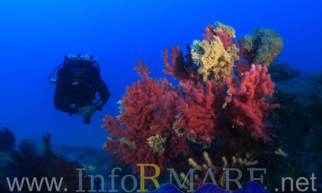 La carta del mare: presentato a Genova il progetto che riguarda anche l’imperiese