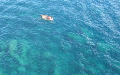 Giornata Mondiale degli Oceani anche in Liguria con InforMare