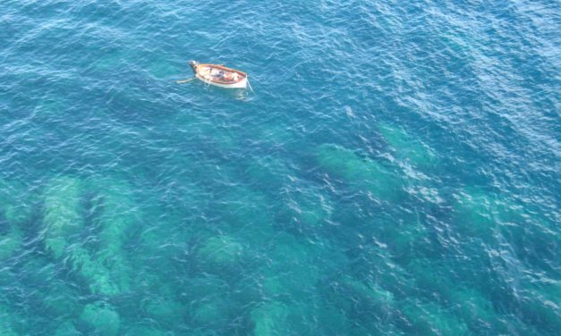 Giornata Mondiale degli Oceani anche in Liguria con InforMare