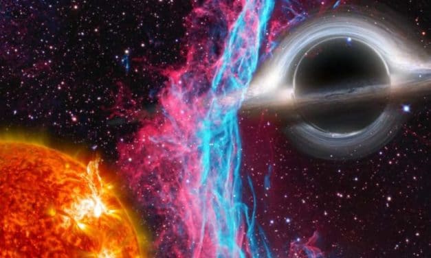 Stelle cadenti: gli appuntamenti da non perdere