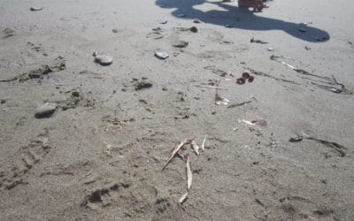 A Diano Marina una passeggiata per scoprire la spiaggia in inverno