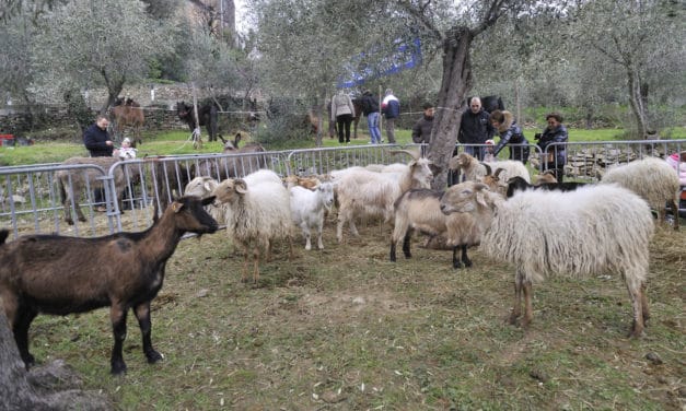 Fiera della Candelora: via il 2 febbraio a San Bartolomeo