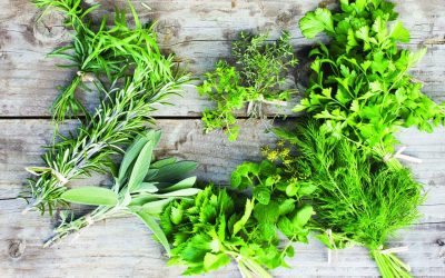 Aromatica: dal 28 aprile al 1 maggio a Diano Marina tra basilico e profumi di Liguria. Il programma