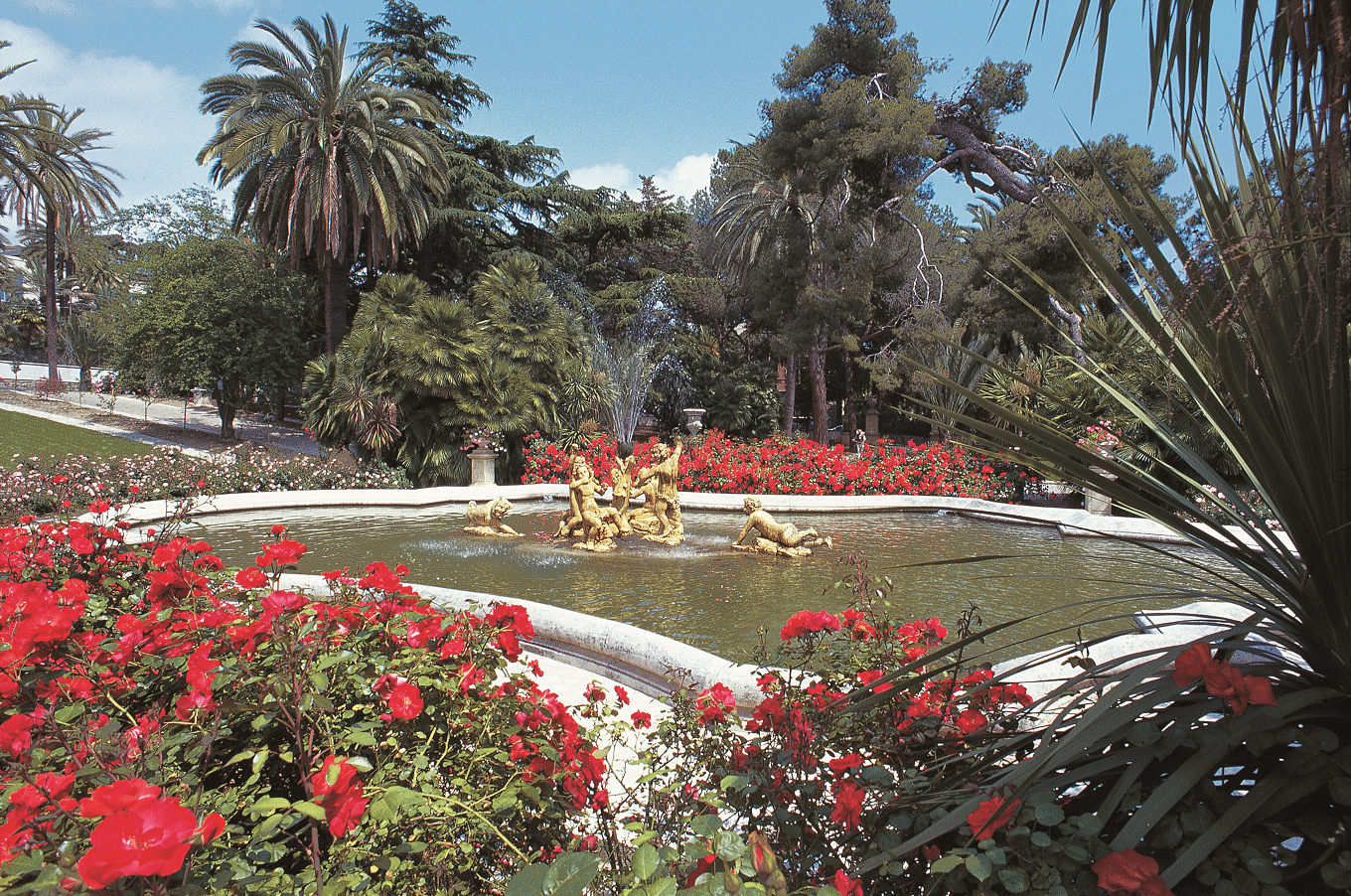 I Giardini di Sanremo: dove si incontrano i Cinque continenti Italo Calvino bambino e ragazzo: la sua vita scandita dai ritmi di vita singolari del padre e della madre, legatissimi al loro mestiere di botanici. Che si trattasse delle verdure…