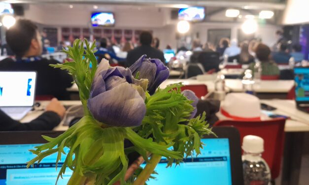 I fiori di Sanremo in sala stampa per i giornalisti al Festival 2024